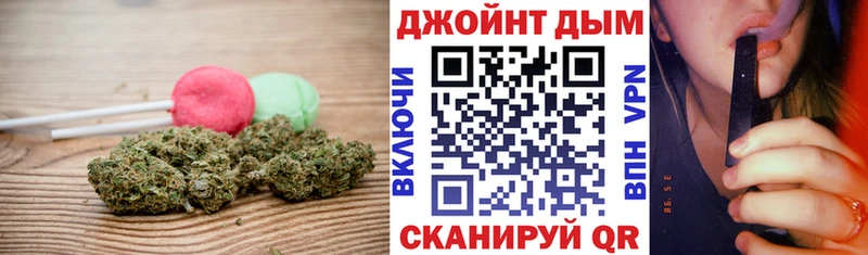 Купить где Можга Cannafood конопля
