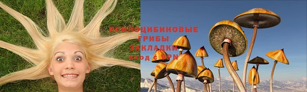не бодяженный Каменка