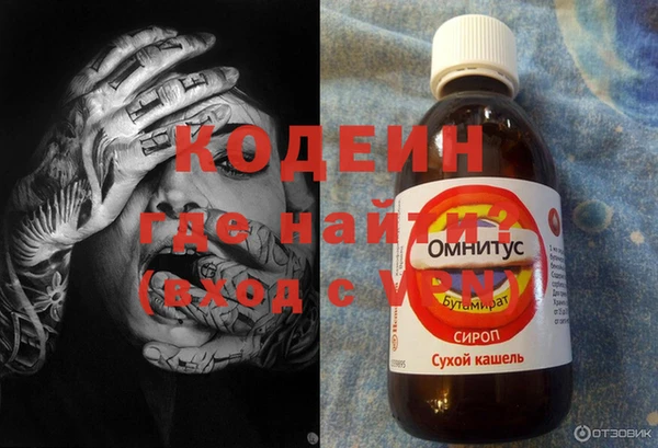 прущие грибы Тихвин
