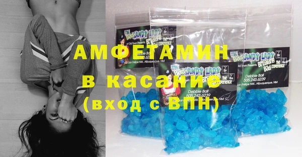 прущие грибы Тихвин